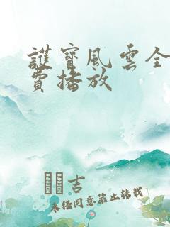 护宝风云全集免费播放