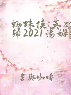 蜘蛛侠:英雄无归2021汤姆·赫兰德版