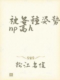 被各种姿势玩弄np高h