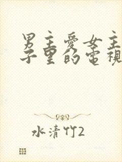 男主爱女主到骨子里的电视剧