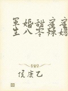 军婚甜蜜蜜,重生八零辣媳巧当家