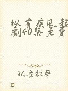 纵有疾风起电视剧40集免费观看