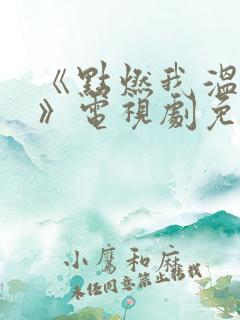 《点燃我温暖你》电视剧免费观看