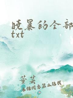 晓暴的全部小说txt