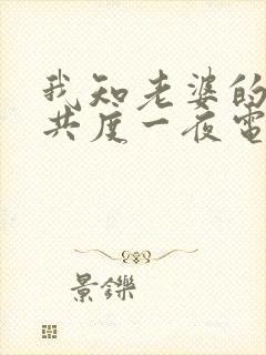 我知老婆的朋友共度一夜电影