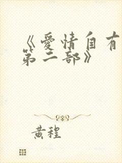 《爱情自有天意第二部》