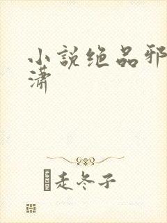 小说绝品邪少叶潇