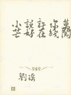 小说许你万丈光芒好在线阅读