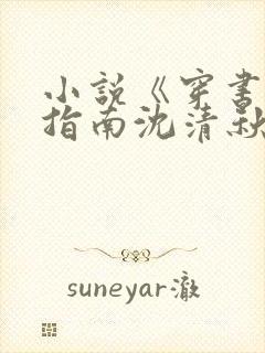 小说《穿书自救指南沈清秋洛冰可》