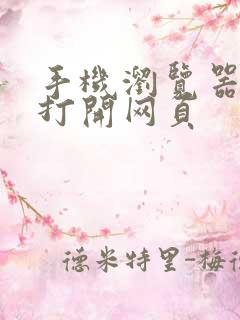 手机浏览器无法打开网页