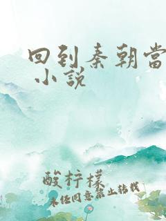 回到秦朝当皇子 小说