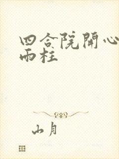 四合院开心的何雨柱