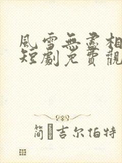 风雪无尽相思情短剧免费观看全集完整