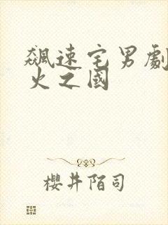 飙速宅男剧场版火之国