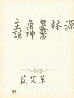 主角是林源的小说神医