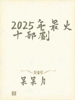 2025年最火十部剧