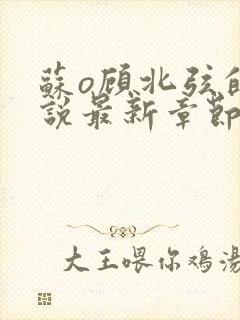 苏o顾北弦的小说最新章节