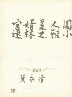 官婿美人图陈志远林之雅小说