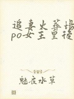 追妻火葬场古言po女主皇后