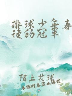 排球少年春高最后的冠军