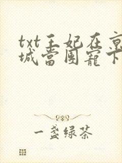 txt王妃在京城当团宠下载