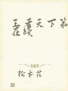 王者天下第6季在线