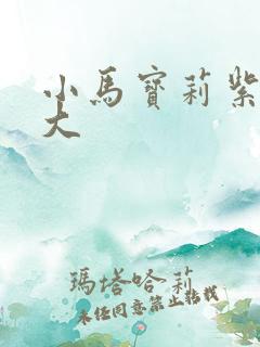 小马宝莉紫悦长大