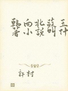 韩向北苏玉卿原著小说叫什么