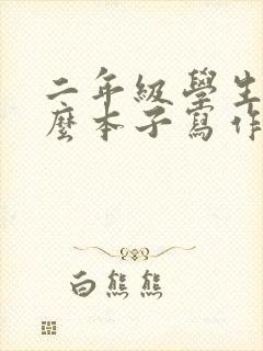 二年级学生用什么本子写作业