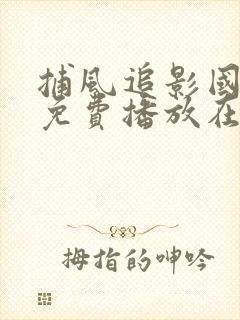 捕风追影国语版免费播放在线观看