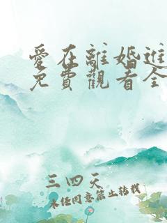 爱在离婚进行时免费观看全集高清版