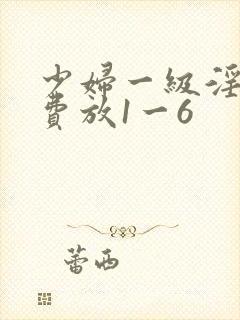 少妇一级淫片免费放1一6