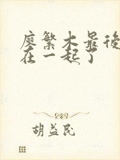 廖繁木最后和谁在一起了