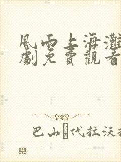 风雨上海滩电视剧免费观看