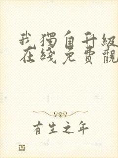 我独自升级动漫在线免费观看