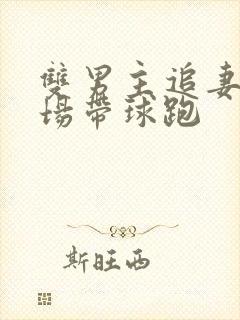 双男主追妻火葬场带球跑