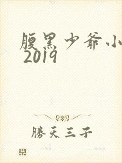 腹黑少爷小甜妻 2019