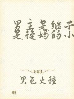 男主是继子女主是后妈的小说