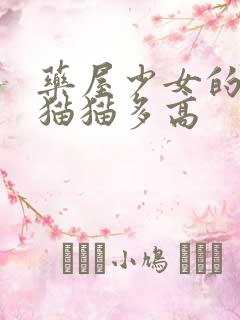 药屋少女的呢喃猫猫多高