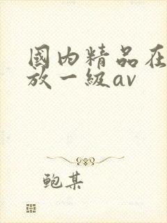 国内精品在线播放一级av