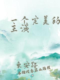 一个完美的结局主演