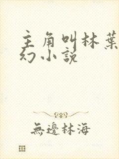 主角叫林叶的玄幻小说