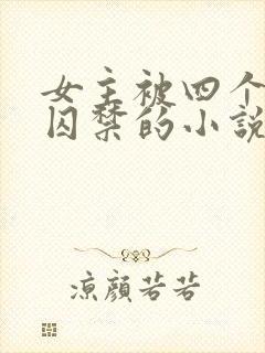 女主被四个病娇囚禁的小说