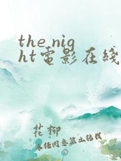 the night电影在线观看
