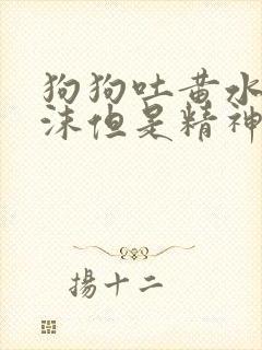 狗狗吐黄水带泡沫但是精神