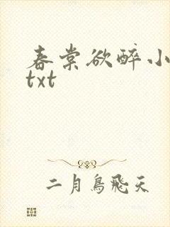 春棠欲醉小说.txt