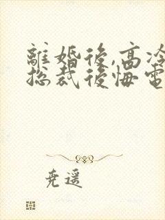 离婚后,高冷女总裁后悔电子版