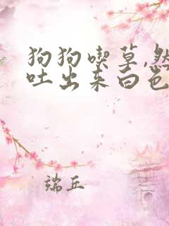 狗狗吃草,然后吐出来白色的泡沫