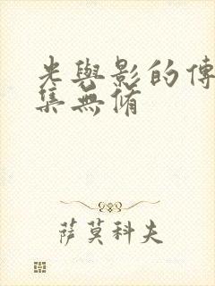 光与影的传说全集无修