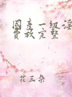 国产一级淫片免费放完整